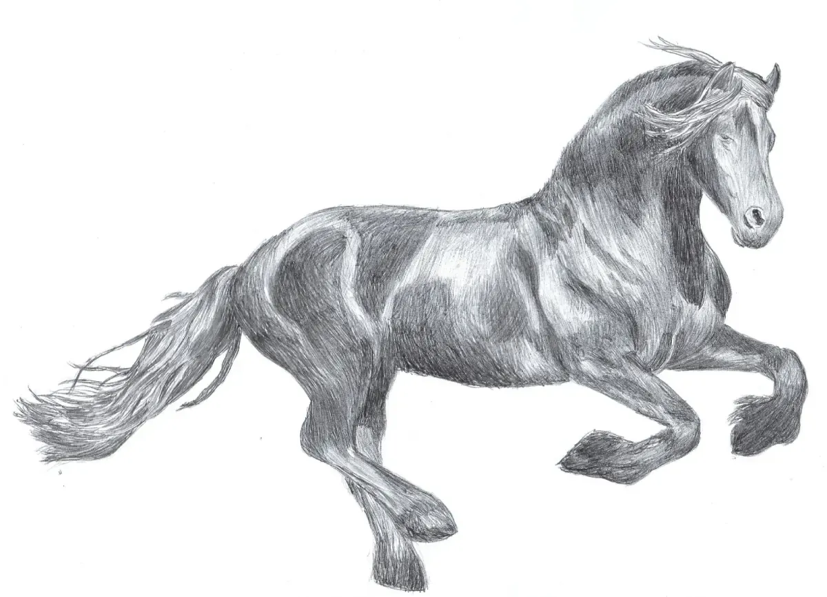 Caballo de guerra al galope, dibujo a lápiz