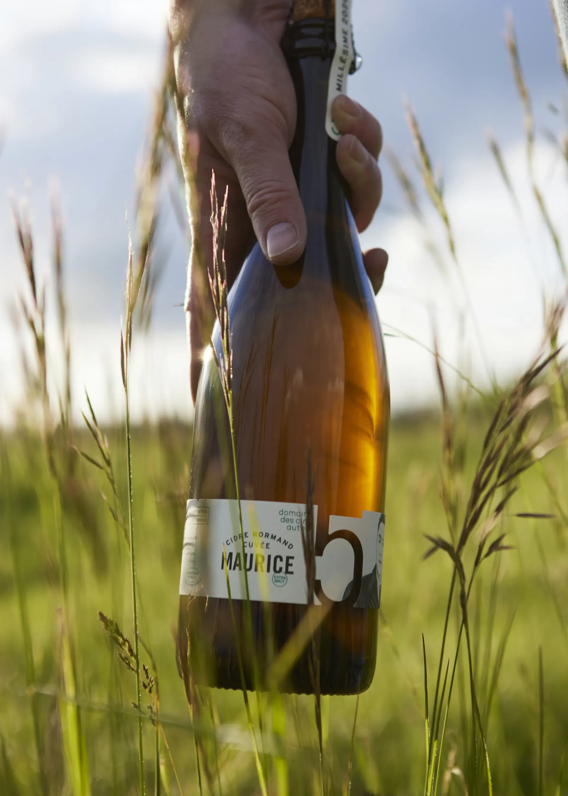 Bouteille de cidre Cinq Autels parmi les herbes hautes du verger