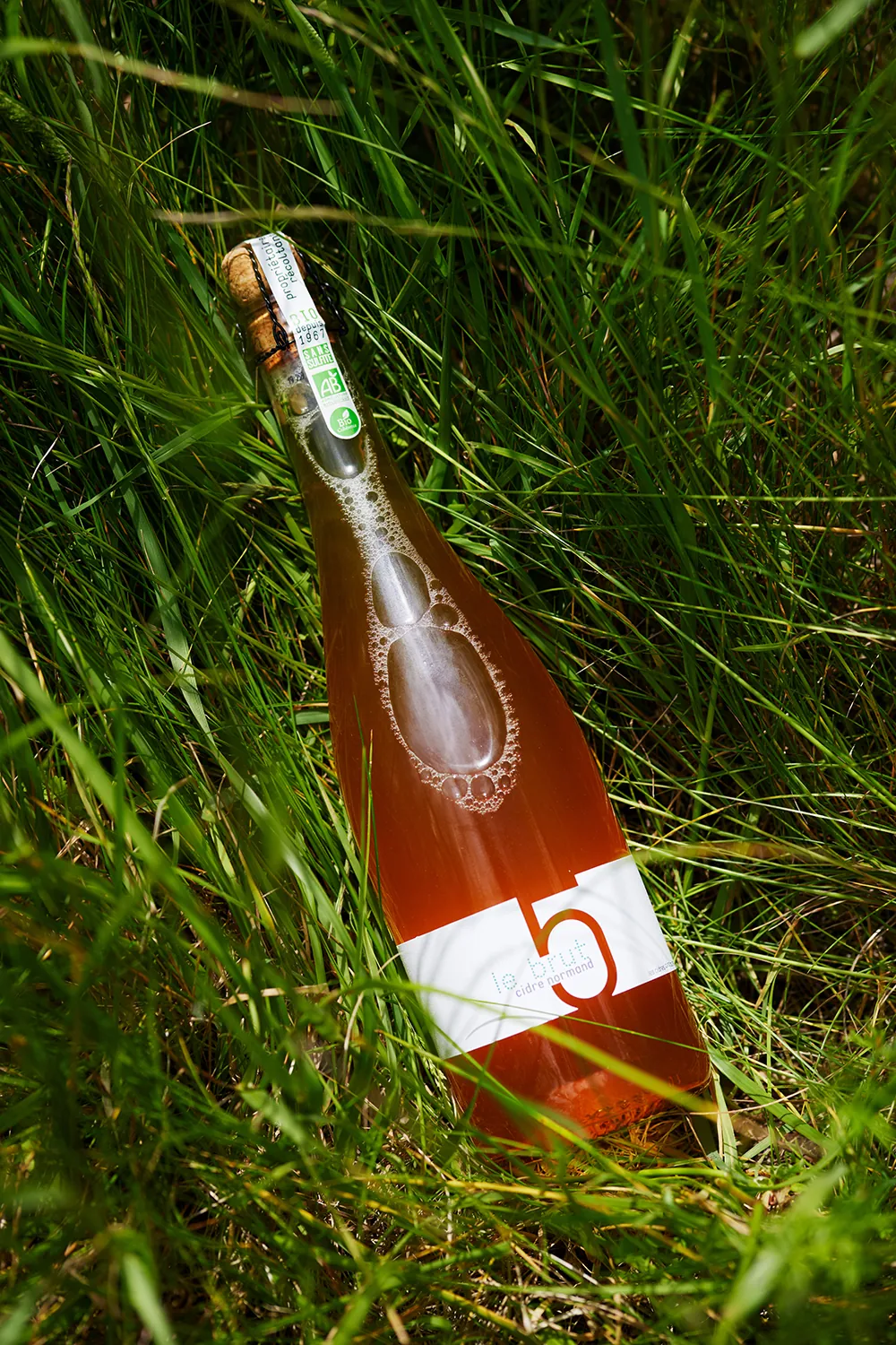 Botella de sidra Cinq Autels en un prado de verano con espigas de trigo y flores silvestres