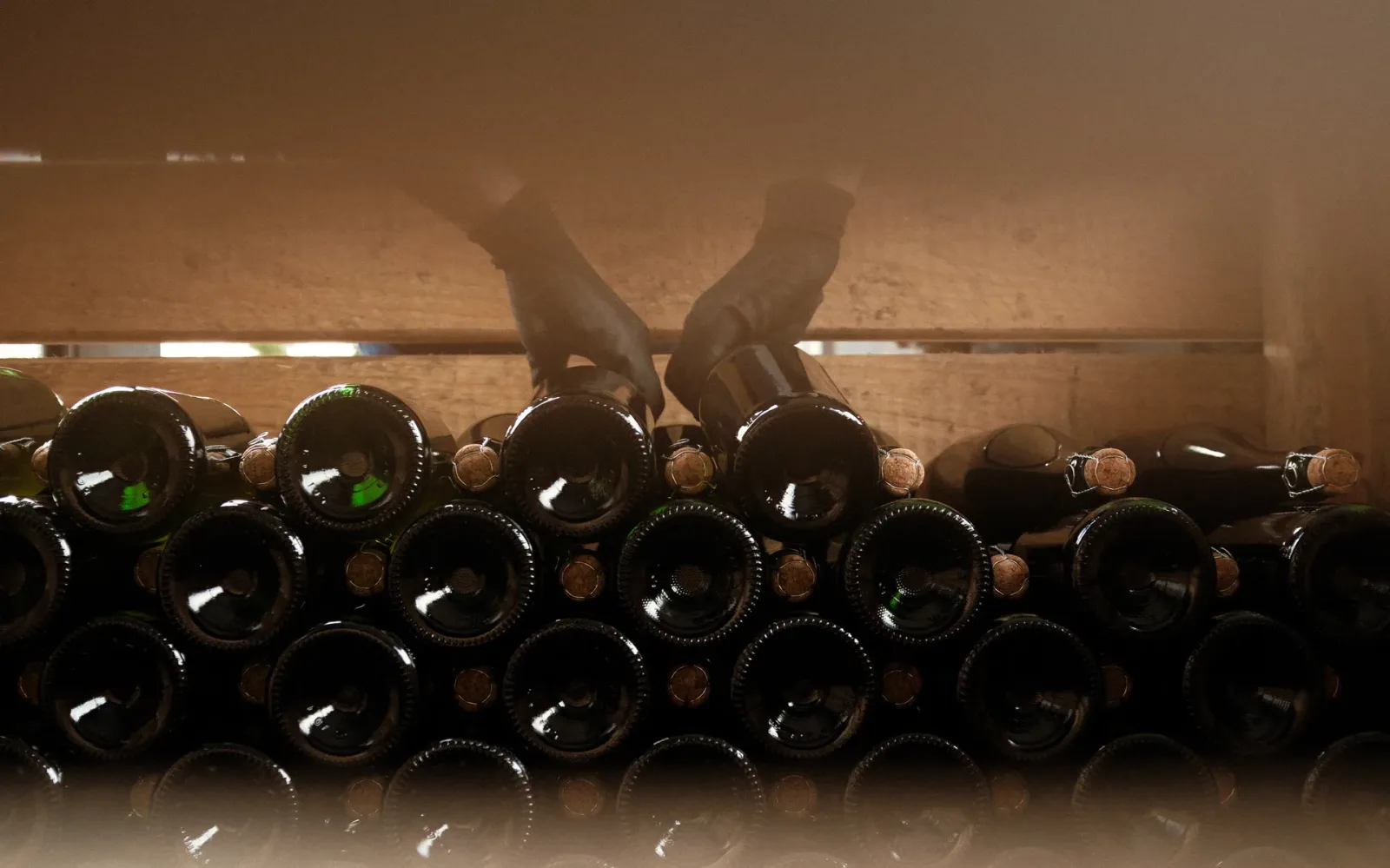 Manos colocando botellas tumbadas en la bodega del Domaine des Cinq Autels