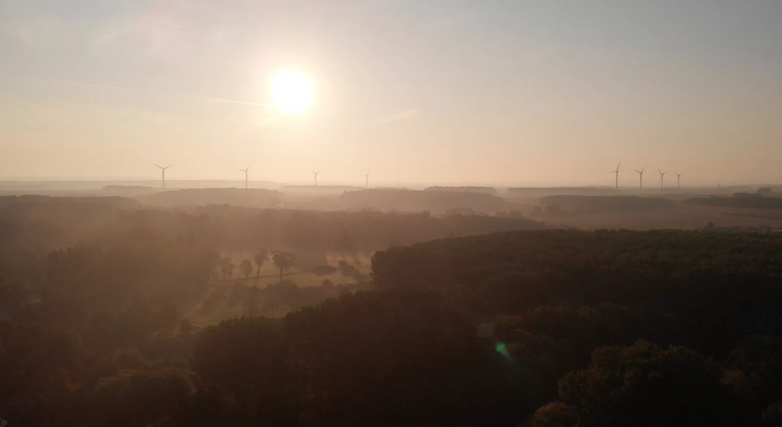 Paisaje de Val-ès-Dunes al amanecer, valle boscoso bajo la niebla, cerca del Domaine des Cinq Autels